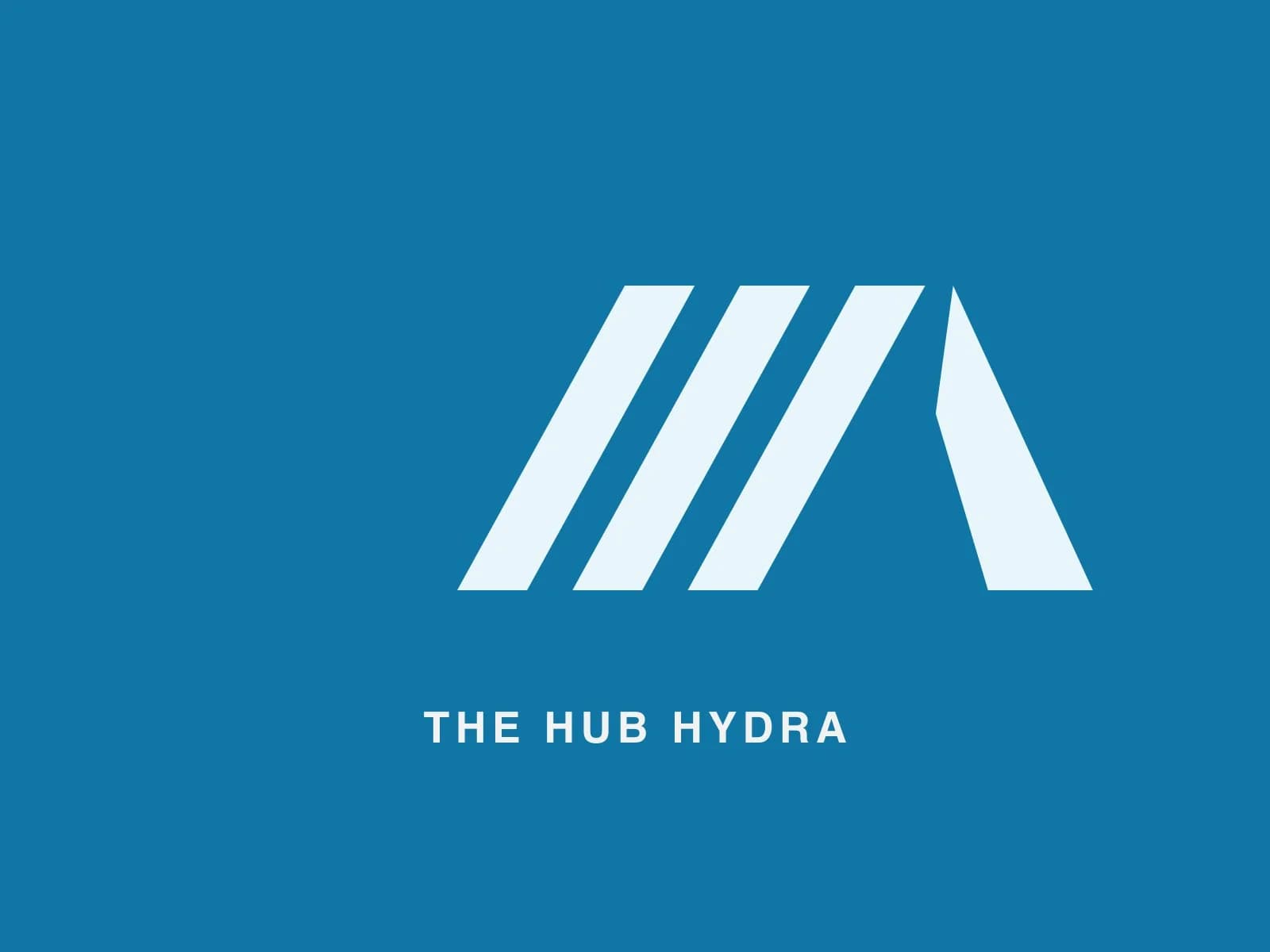 The Hub Hydra — photo 1
